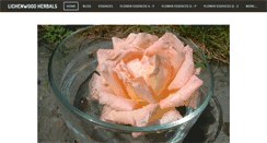 Desktop Screenshot of lichenwood.com